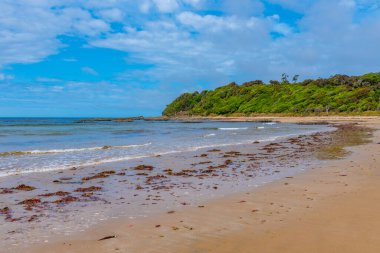 Yeni Zelanda 'nın Caitlins bölgesinde Tahakopa körfezi