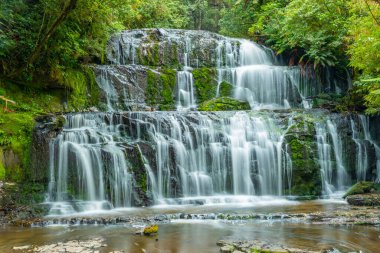 Yeni Zelanda 'nın Catlins bölgesinde Purakaunui Şelalesi