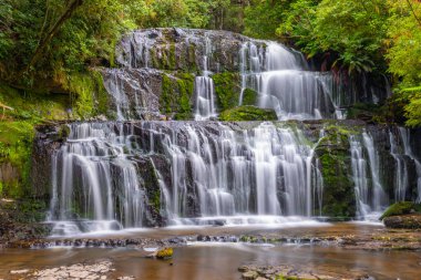 Yeni Zelanda 'nın Catlins bölgesinde Purakaunui Şelalesi