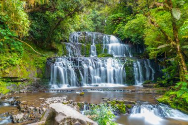 Yeni Zelanda 'nın Catlins bölgesinde Purakaunui Şelalesi
