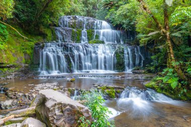 Yeni Zelanda 'nın Catlins bölgesinde Purakaunui Şelalesi