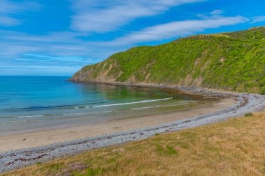 Yeni Zelanda 'nın Catlins bölgesinde kükreyen körfez