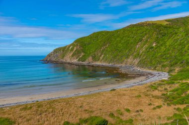 Yeni Zelanda 'nın Catlins bölgesinde kükreyen körfez
