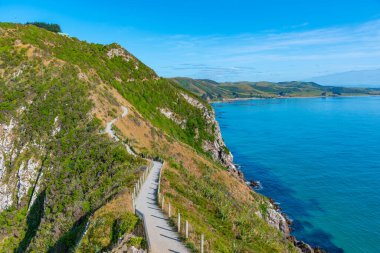 Yeni Zelanda 'nın Kaka noktasındaki bir plajın havadan görünüşü