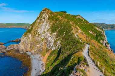 Yeni Zelanda 'nın Catlins bölgesinde kükreyen körfez
