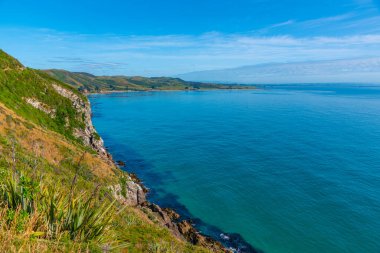 Yeni Zelanda 'nın Kaka noktasındaki bir plajın havadan görünüşü