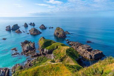 Nugget Yeni Zelanda 'nın Nugget noktasındaki kayalık adalar.