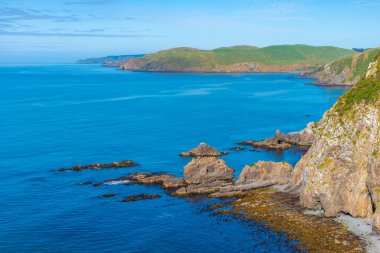 Yeni Zelanda 'nın Catlins bölgesinde kükreyen körfez