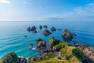 Nugget Yeni Zelanda 'nın Nugget noktasındaki kayalık adalar.