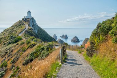 Yeni Zelanda 'nın Nugget noktasındaki deniz feneri.