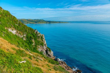 Yeni Zelanda 'nın Kaka noktasındaki bir plajın havadan görünüşü
