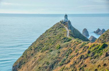 Yeni Zelanda 'nın Nugget noktasındaki deniz feneri.