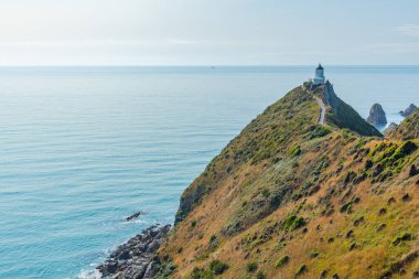 Yeni Zelanda 'nın Nugget noktasındaki deniz feneri.
