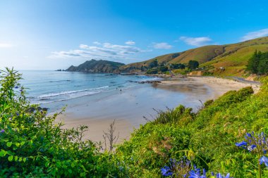 Yeni Zelanda 'nın Kaka noktasındaki sahil.
