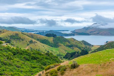 Dunedin, Yeni Zelanda yakınlarındaki Otago yarımadasının manzarası