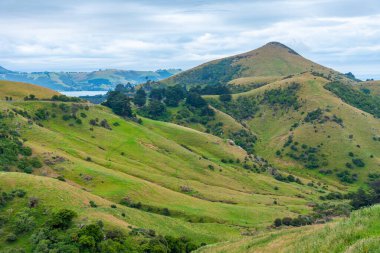 Dunedin, Yeni Zelanda yakınlarındaki Otago yarımadasının manzarası