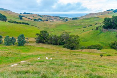 Dunedin, Yeni Zelanda yakınlarındaki Otago yarımadasının manzarası