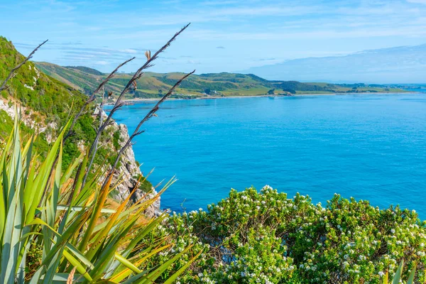 Pemandangan Udara Pantai Titik Kaka New Zealand — Stok Foto