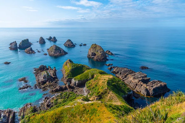 Nuggets Skaliste Wysepki Nugget Point Nowej Zelandii — Zdjęcie stockowe