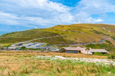 Taiaroa başkanı Otago yarımadasında, Yeni Zelanda