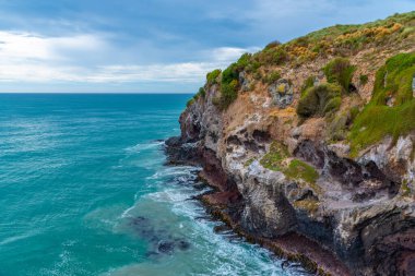 Taiaroa başkanı Otago yarımadasında, Yeni Zelanda