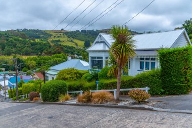 Baldwin Caddesi - dünyanın en dik sokağı, Dunedin, Yeni Zelanda