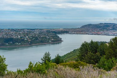 Yeni Zelanda 'daki Dunedin' in hava görüntüsü
