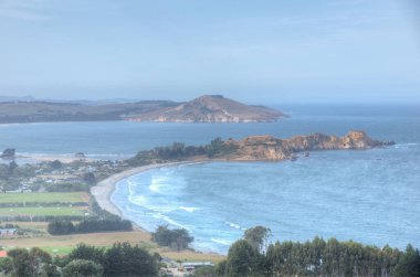 Puketeraki Yeni Zelanda 'da gözcülük yapıyor.