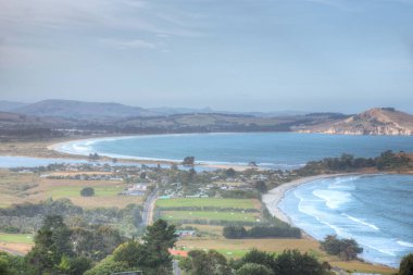 Puketeraki Yeni Zelanda 'da gözcülük yapıyor.