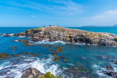 Katiki noktasının Yeni Zelanda 'daki manzarası