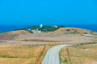 Katiki noktasının Yeni Zelanda 'daki manzarası