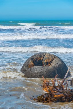 Yeni Zelanda 'daki Moeraki Kayaları