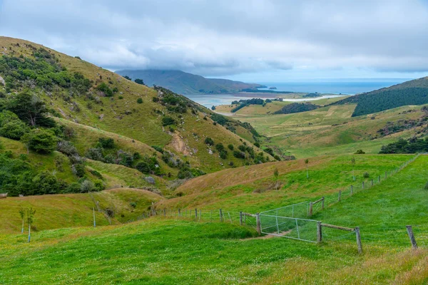 Krajobraz Półwyspu Otago Koło Dunedin Nowa Zelandia — Zdjęcie stockowe