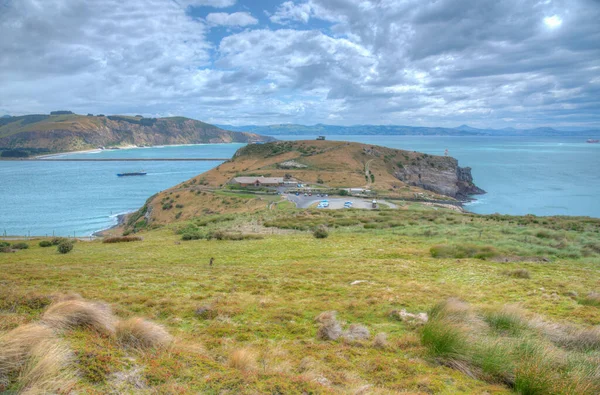 Landschap Van Het Schiereiland Otago Bij Dunedin Nieuw Zeeland — Stockfoto