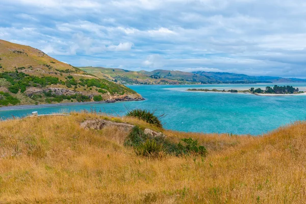 Paisagem Península Otago Perto Dunedin Nova Zelândia — Fotografia de Stock