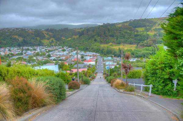 Baldwin Street Πιο Απότομος Δρόμος Του Κόσμου Στο Dunedin Νέα — Φωτογραφία Αρχείου