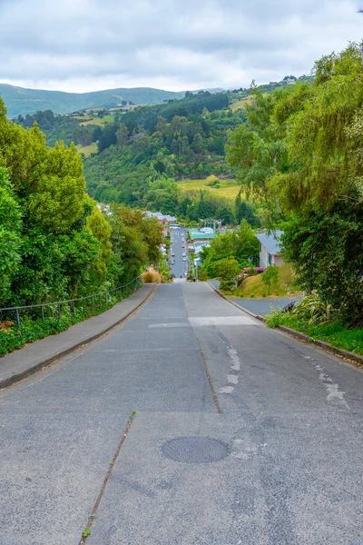 Baldwin Street Rue Raide Monde Dunedin Nouvelle Zélande — Photo