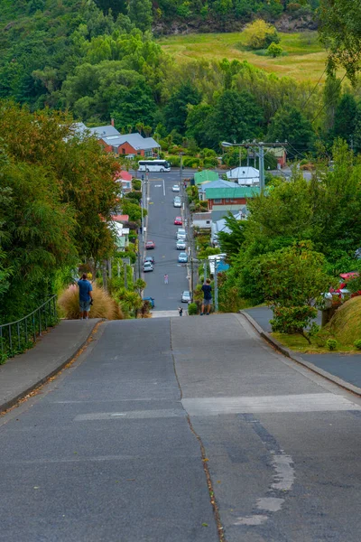 Baldwin Street Rue Raide Monde Dunedin Nouvelle Zélande — Photo