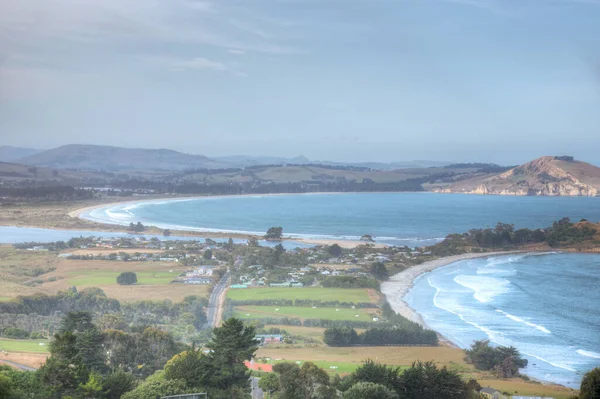 Puketeraki Yeni Zelanda 'da gözcülük yapıyor.