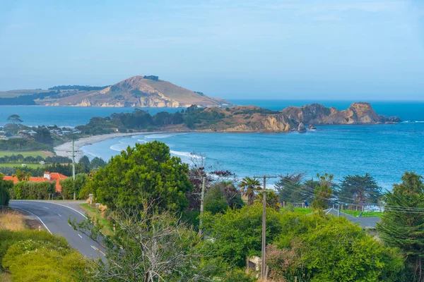 Puketeraki Yeni Zelanda 'da gözcülük yapıyor.