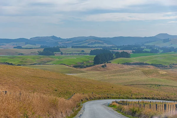Paysage Rural Île Sud Nouvelle Zélande — Photo
