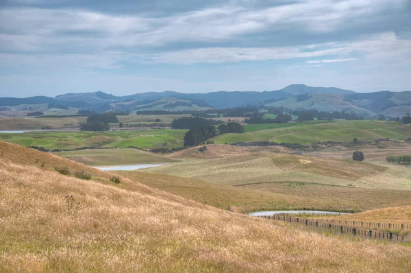 Paysage Rural Île Sud Nouvelle Zélande — Photo