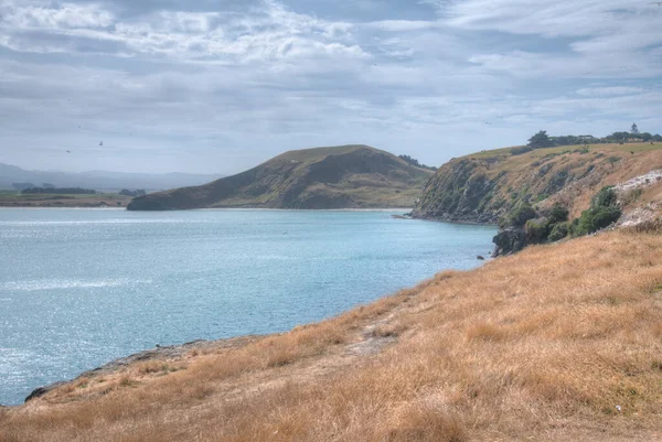 Paysage Katiki Point Nouvelle Zélande — Photo