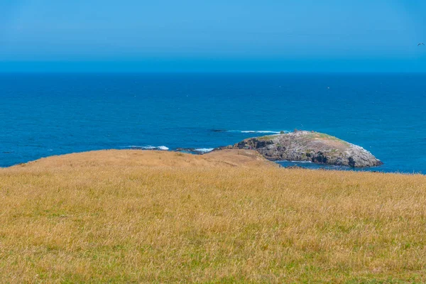 Paysage Katiki Point Nouvelle Zélande — Photo