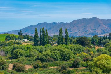 Yeni Zelanda 'daki Güney Adası' nın Hilly manzarası