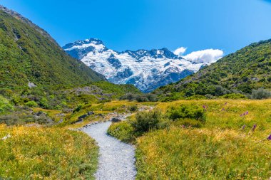 Aoraki Dağı 'ndaki Sefton Dağı / Yeni Zelanda' daki Cook Dağı Ulusal Parkı
