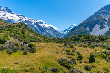Fahişe vadisi Yeni Zelanda 'da Aoraki / Cook Dağı' na çıkıyor.