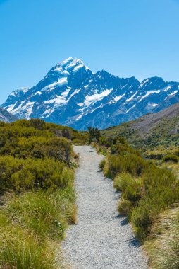 Fahişe vadisi Yeni Zelanda 'da Aoraki / Cook Dağı' na çıkıyor.