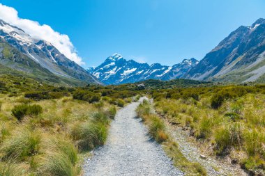 Fahişe vadisi Yeni Zelanda 'da Aoraki / Cook Dağı' na çıkıyor.