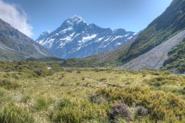 Fahişe vadisi Yeni Zelanda 'da Aoraki / Cook Dağı' na çıkıyor.
